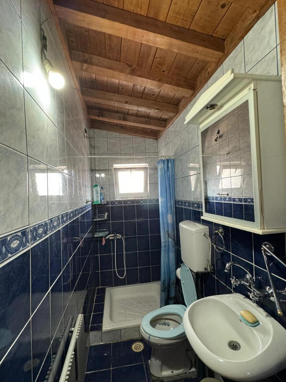 Vlado Apartments Podgorica Kültér fotó